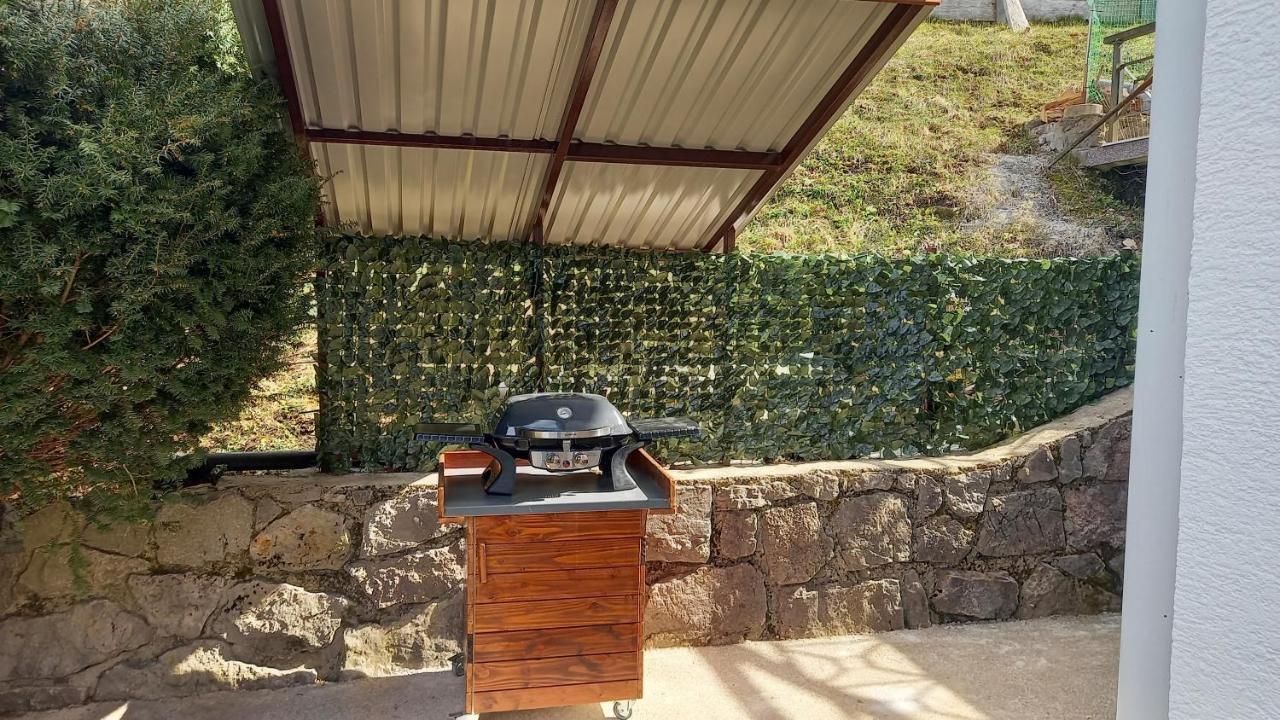 Gogo Διαμέρισμα Delnice Εξωτερικό φωτογραφία